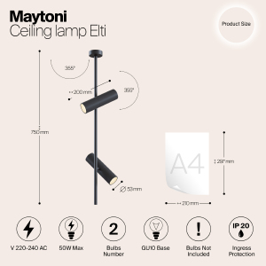 Светильник потолочный Maytoni Elti C021CL-02B