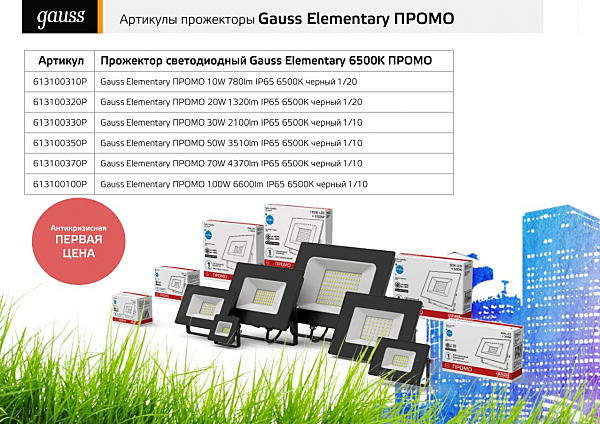 Прожектор уличный светодиодный Gauss Elementary ПРОМО 6500K 613100310P