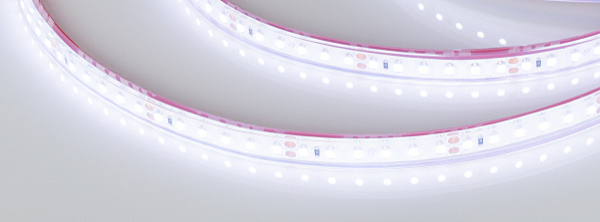 LED лента Arlight RTW герметичная 016835