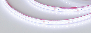 LED лента Arlight RTW герметичная 016835