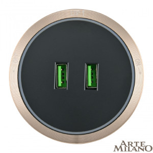 Трековая розетка Arte Milano Am-track-sockets 380066TS LED/USBx2 Gold