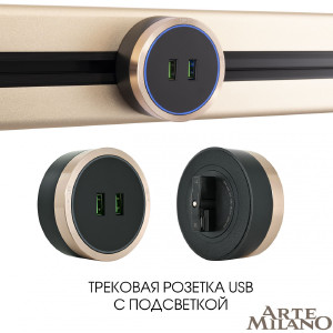 Трековая розетка Arte Milano Am-track-sockets 380066TS LED/USBx2 Gold