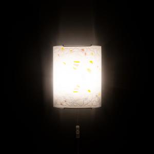 Настенно потолочный светильник Citilux 922 CL922091W